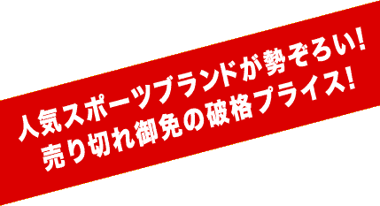 �l�C�X�|�[�c�u�����h�������낢�I����؂��Ƃ̔j�i�v���C�X�I